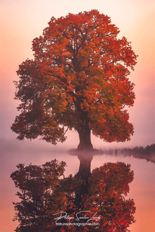 Photo d'automne réalisée avec l'aide de l'IA intelligence artificielle générative de Photoshop