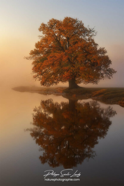 Photo d'automne réalisée avec l'aide de l'IA intelligence artificielle générative de Photoshop