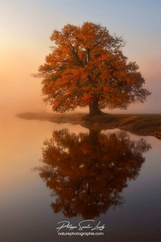 Photo d'automne réalisée avec l'aide de l'IA intelligence artificielle générative de Photoshop