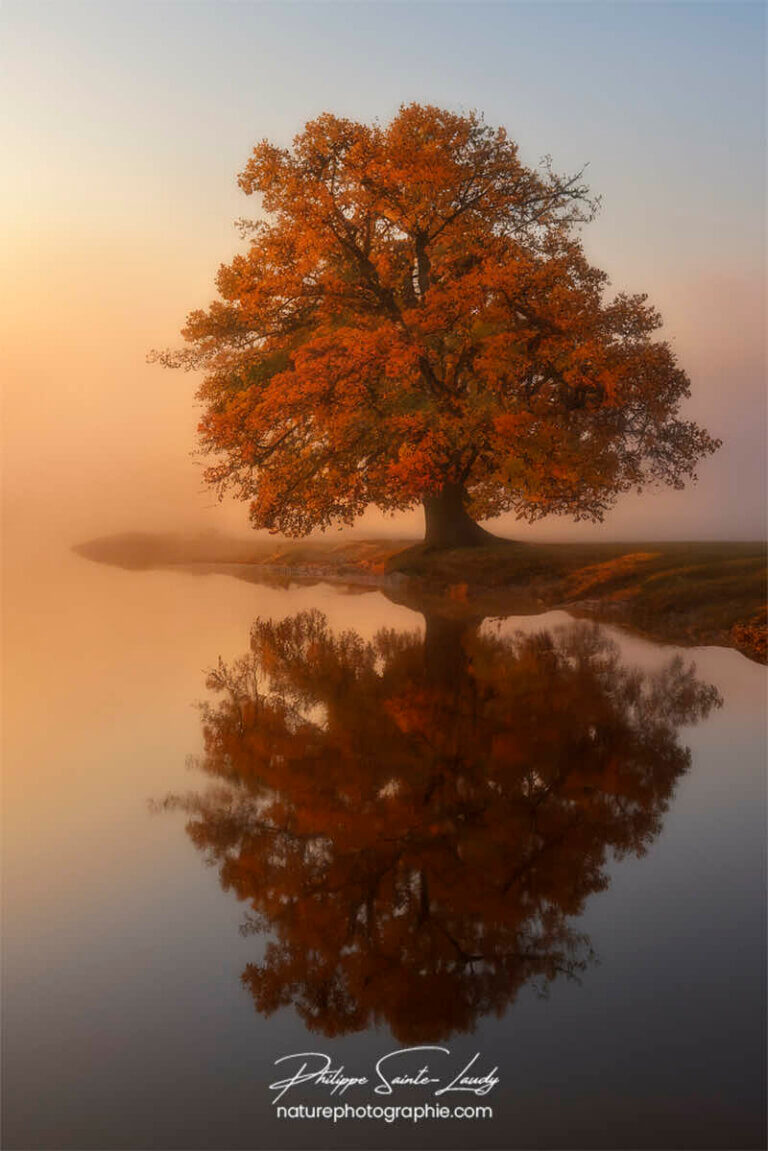 Photo d'automne réalisée avec l'aide de l'IA intelligence artificielle générative de Photoshop