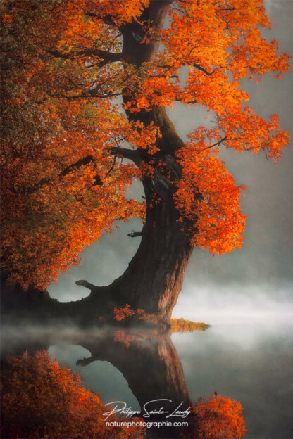 Photo d'automne réalisée avec l'aide de l'IA intelligence artificielle générative de Photoshop