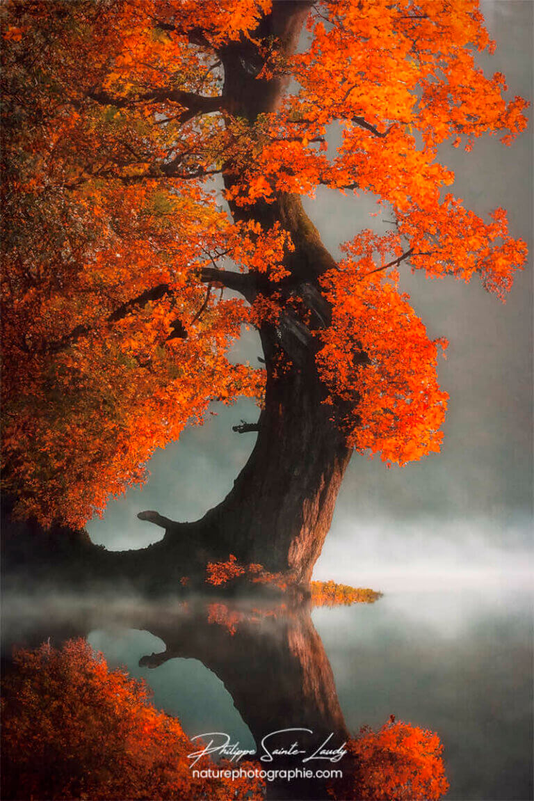 Photo d'automne réalisée avec l'aide de l'IA intelligence artificielle générative de Photoshop