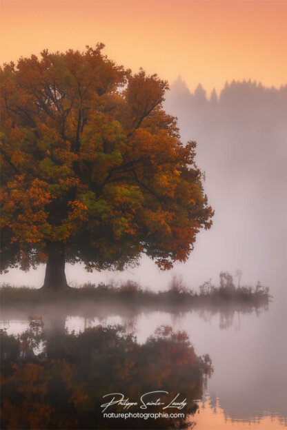 Photo d'automne réalisée avec l'aide de l'IA intelligence artificielle générative de Photoshop
