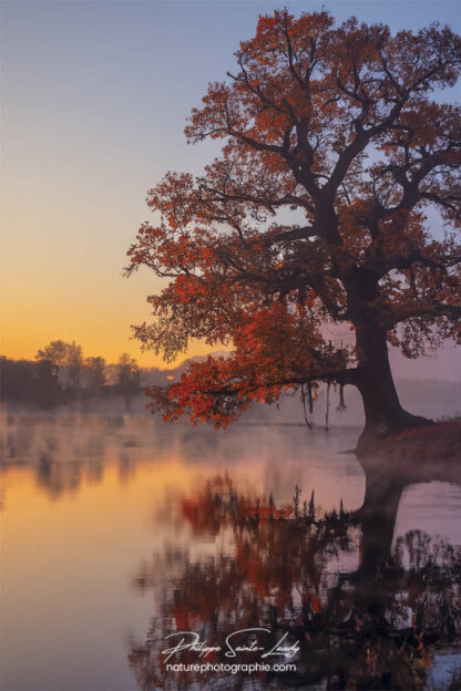 Photo d'automne réalisée avec l'aide de l'IA intelligence artificielle générative de Photoshop