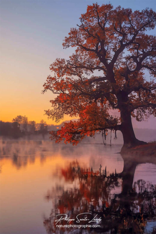 Photo d'automne réalisée avec l'aide de l'IA intelligence artificielle générative de Photoshop