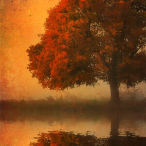 IA Collection – Autumn Trees #24 Photo d'automne réalisée avec l'aide de l'IA intelligence artificielle générative de Photoshop