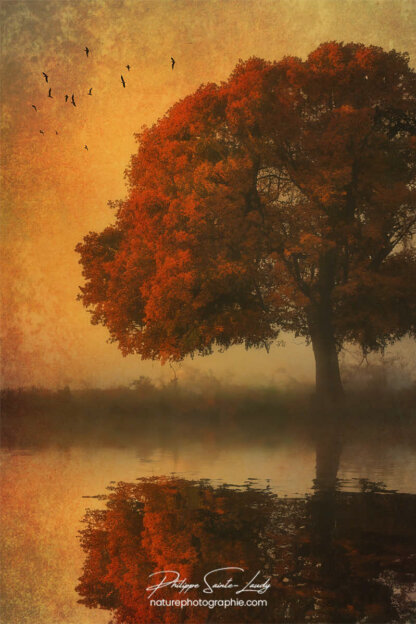 Photo d'automne réalisée avec l'aide de l'IA intelligence artificielle générative de Photoshop