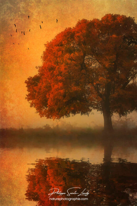 Photo d'automne réalisée avec l'aide de l'IA intelligence artificielle générative de Photoshop