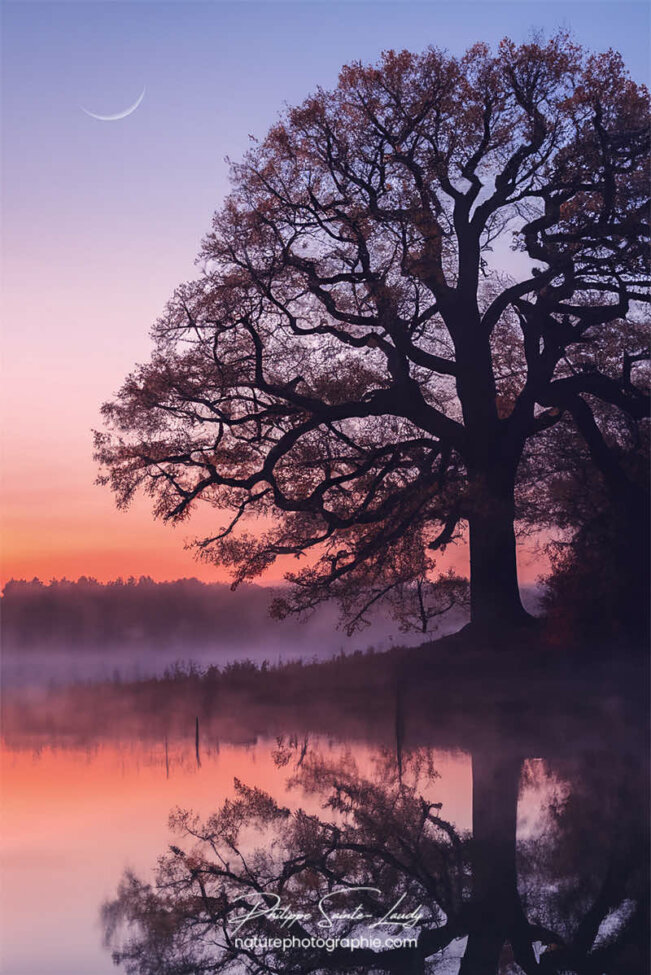 Photo d'automne réalisée avec l'aide de l'IA intelligence artificielle générative de Photoshop