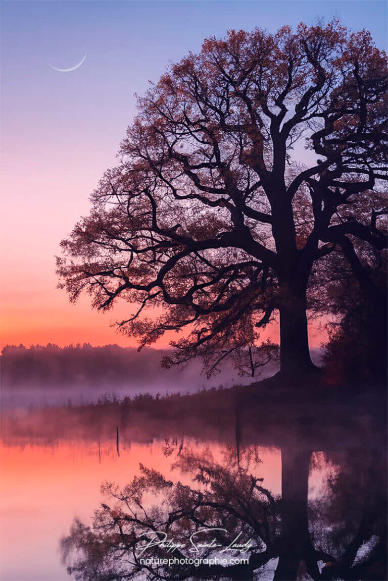 Photo d'automne réalisée avec l'aide de l'IA intelligence artificielle générative de Photoshop