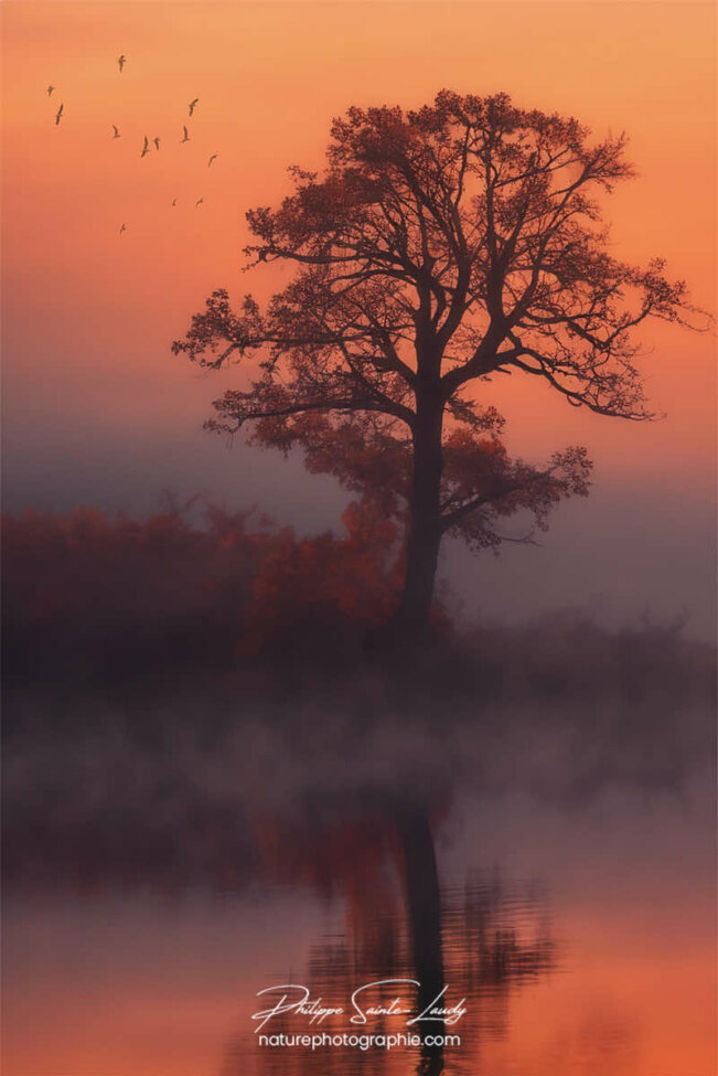 Photo d'automne réalisée avec l'aide de l'IA intelligence artificielle générative de Photoshop