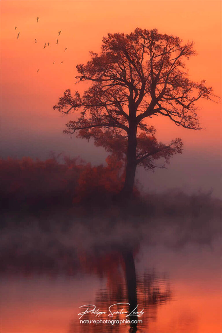 Photo d'automne réalisée avec l'aide de l'IA intelligence artificielle générative de Photoshop