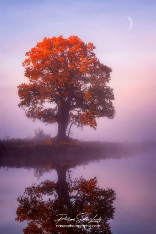 Photo d'automne réalisée avec l'aide de l'IA intelligence artificielle générative de Photoshop