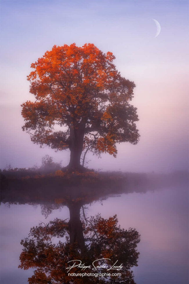 Photo d'automne réalisée avec l'aide de l'IA intelligence artificielle générative de Photoshop