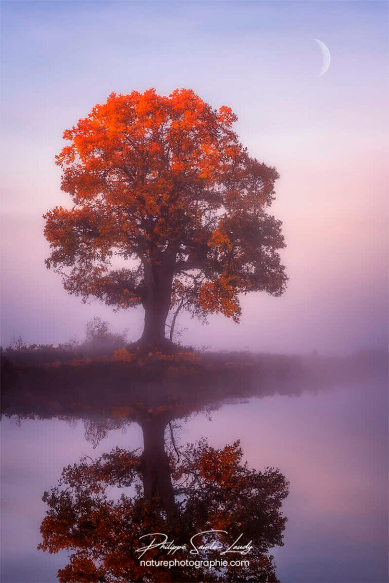 Photo d'automne réalisée avec l'aide de l'IA intelligence artificielle générative de Photoshop