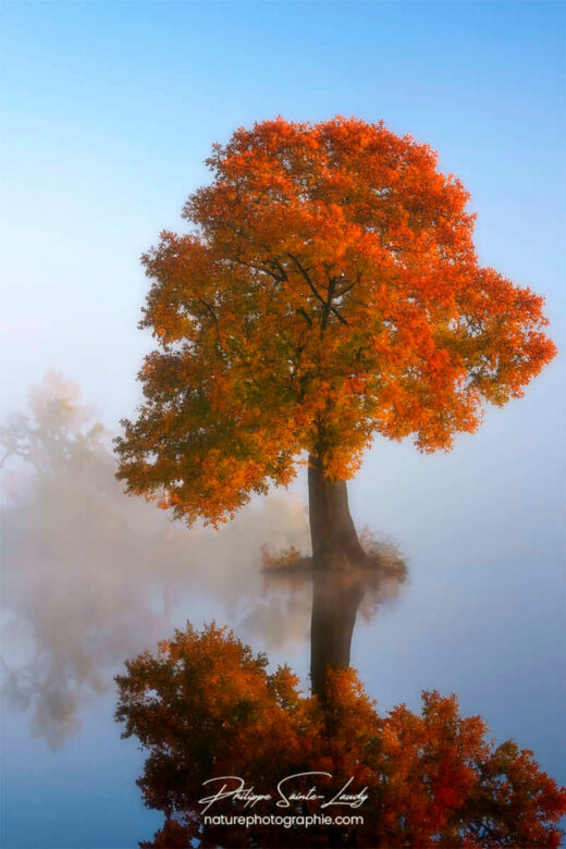 Photo d'automne réalisée avec l'aide de l'IA intelligence artificielle générative de Photoshop