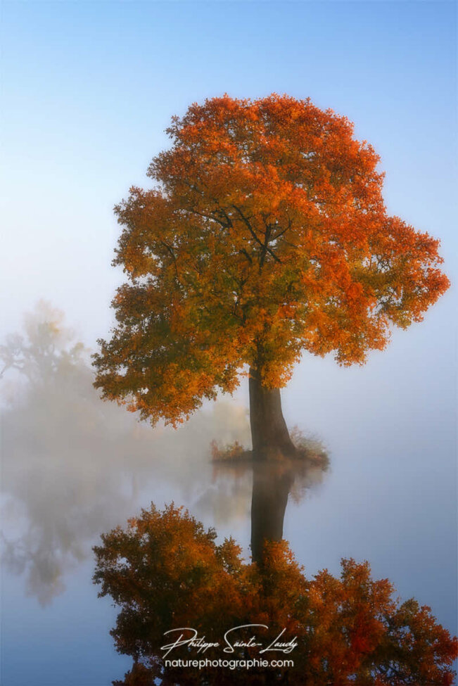 Photo d'automne réalisée avec l'aide de l'IA intelligence artificielle générative de Photoshop