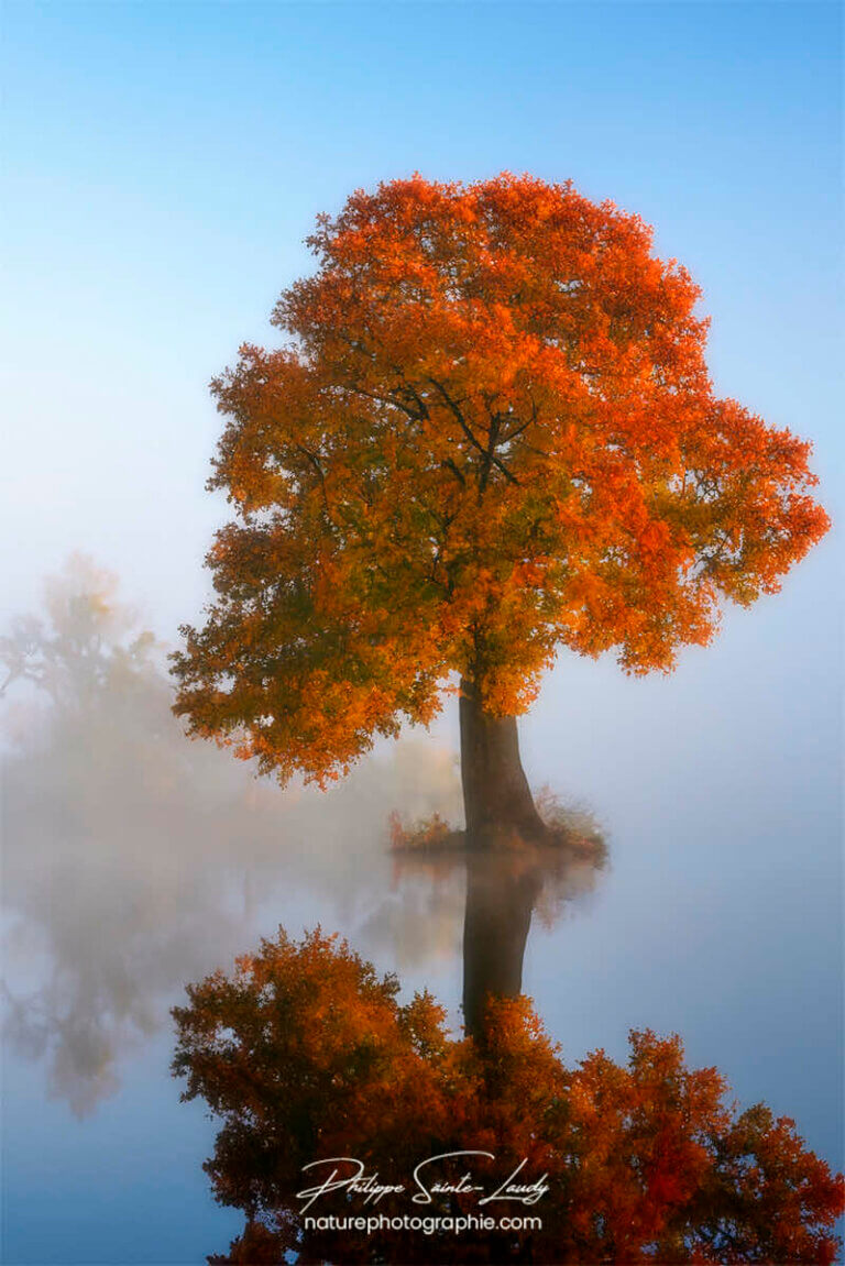 Photo d'automne réalisée avec l'aide de l'IA intelligence artificielle générative de Photoshop