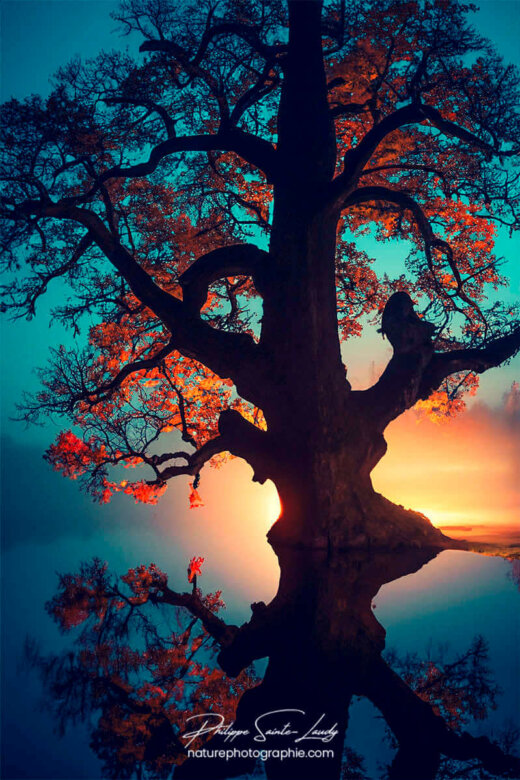 Photo d'automne réalisée avec l'aide de l'IA intelligence artificielle générative de Photoshop