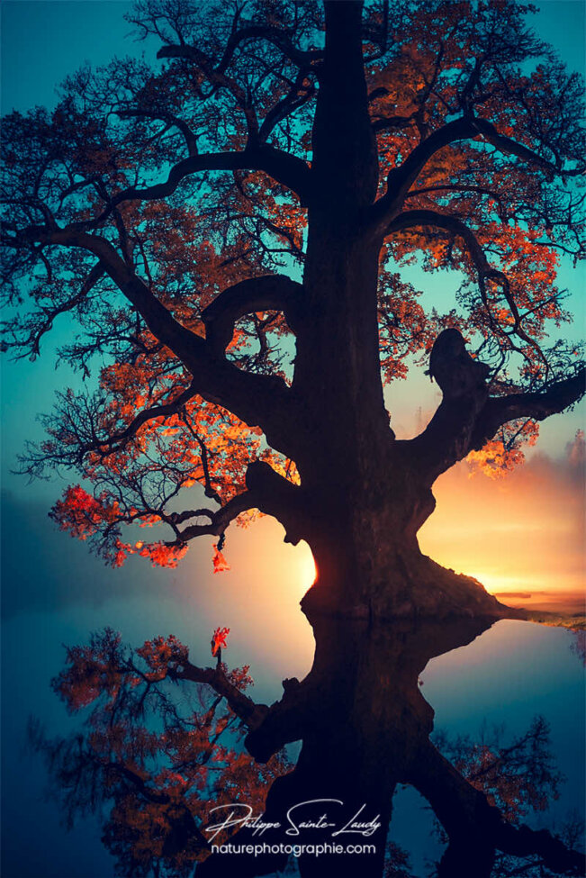 Photo d'automne réalisée avec l'aide de l'IA intelligence artificielle générative de Photoshop