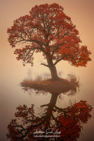 Photo d'automne réalisée avec l'aide de l'IA intelligence artificielle générative de Photoshop