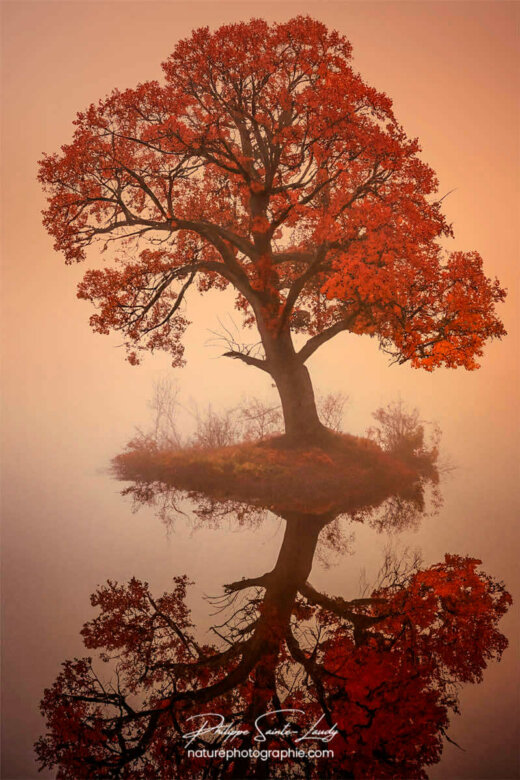 Photo d'automne réalisée avec l'aide de l'IA intelligence artificielle générative de Photoshop