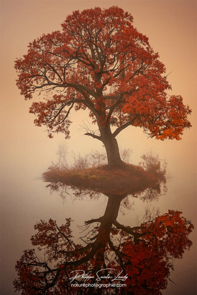 Photo d'automne réalisée avec l'aide de l'IA intelligence artificielle générative de Photoshop