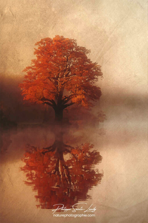 Photo d'automne réalisée avec l'aide de l'IA intelligence artificielle générative de Photoshop