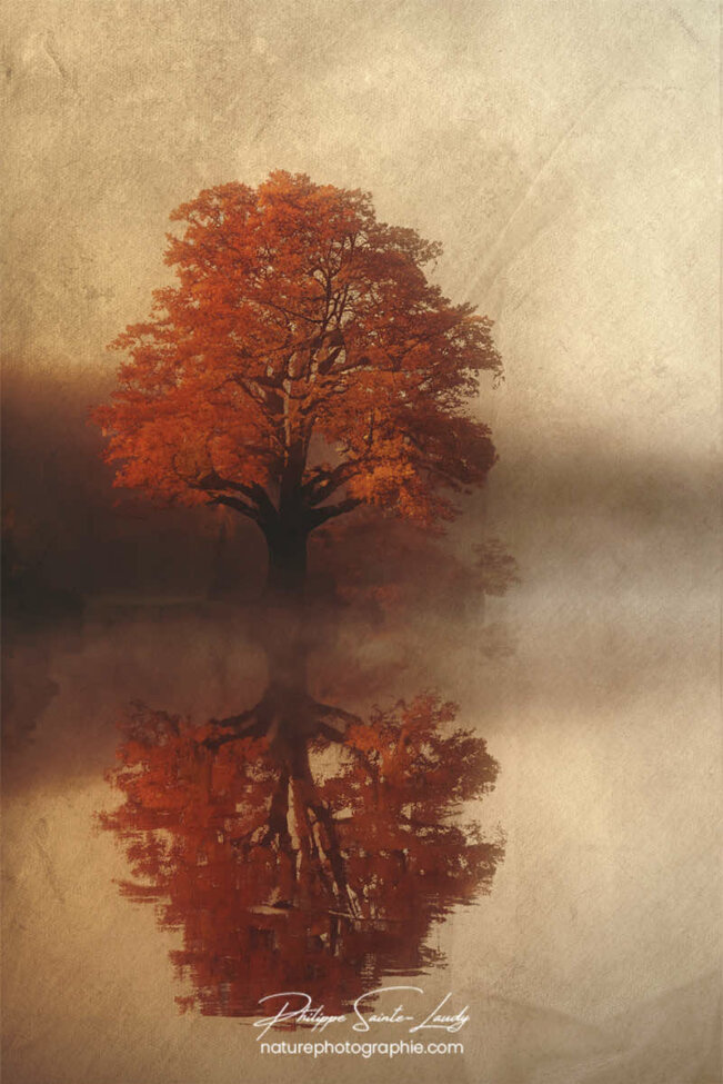 Photo d'automne réalisée avec l'aide de l'IA intelligence artificielle générative de Photoshop