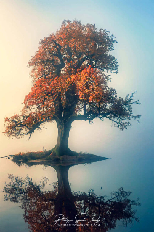 Photo d'automne réalisée avec l'aide de l'IA intelligence artificielle générative de Photoshop