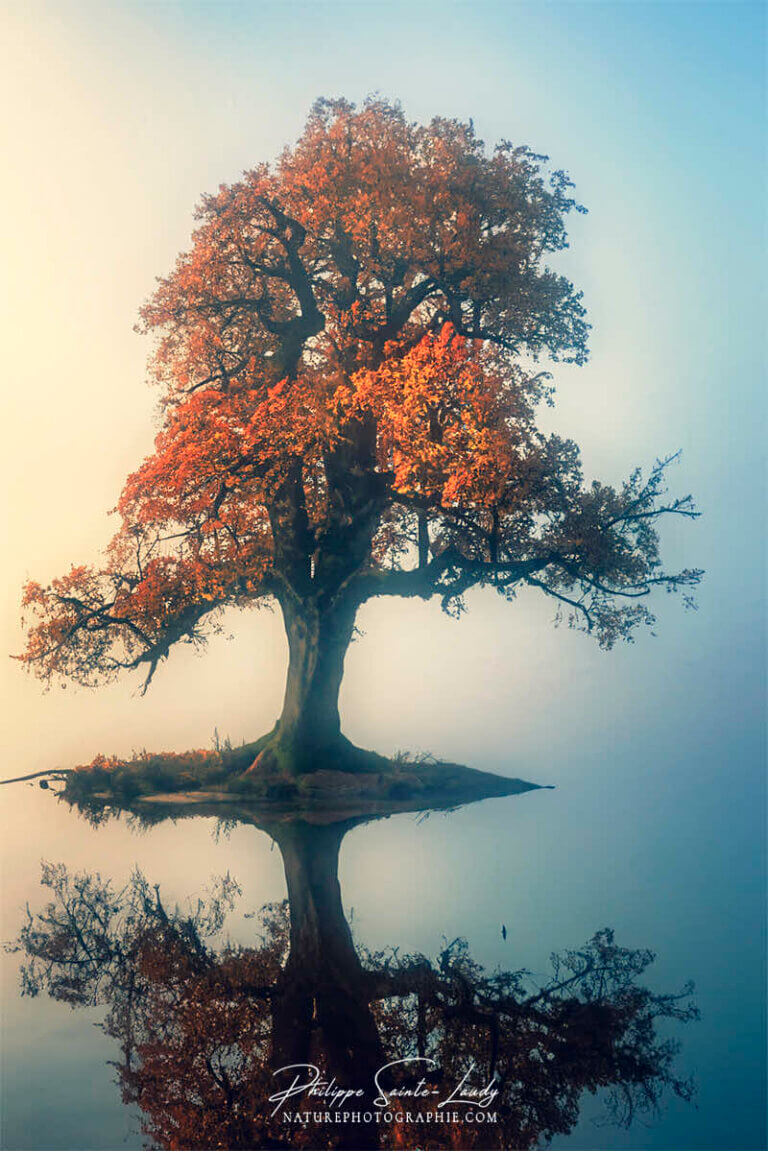 Photo d'automne réalisée avec l'aide de l'IA intelligence artificielle générative de Photoshop