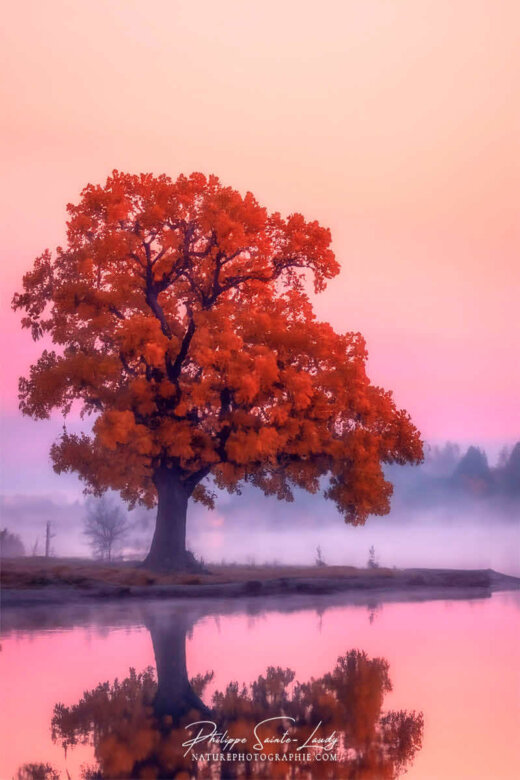 Photo d'automne réalisée avec l'aide de l'IA intelligence artificielle générative de Photoshop