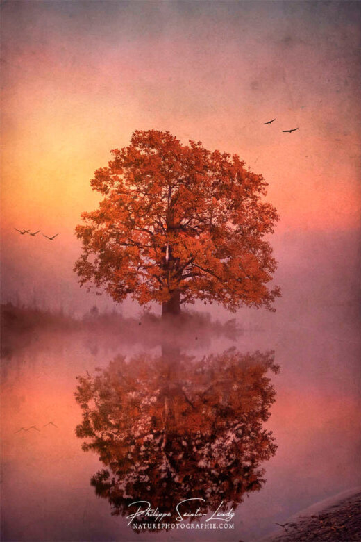 Photo d'automne réalisée avec l'aide de l'IA intelligence artificielle générative de Photoshop