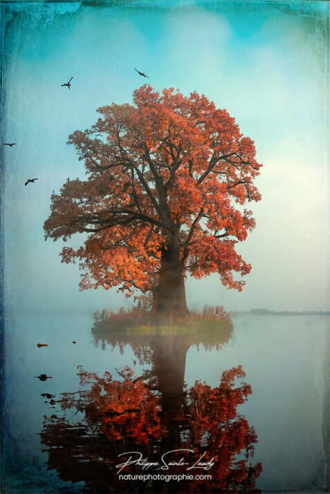 Photo d'automne réalisée avec l'aide de l'IA intelligence artificielle générative de Photoshop