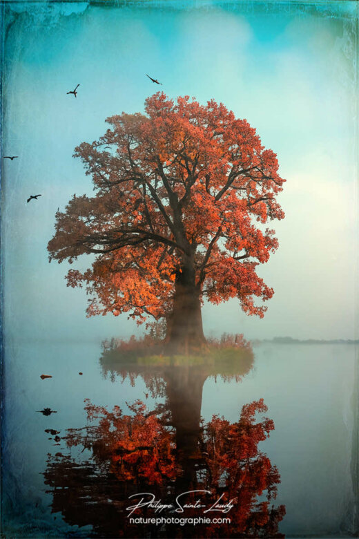 Photo d'automne réalisée avec l'aide de l'IA intelligence artificielle générative de Photoshop