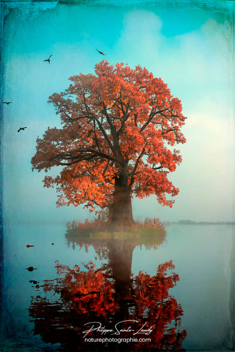 Photo d'automne réalisée avec l'aide de l'IA intelligence artificielle générative de Photoshop