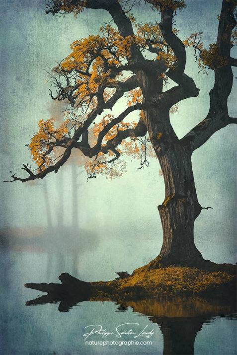 Photo d'automne réalisée avec l'aide de l'IA intelligence artificielle générative de Photoshop