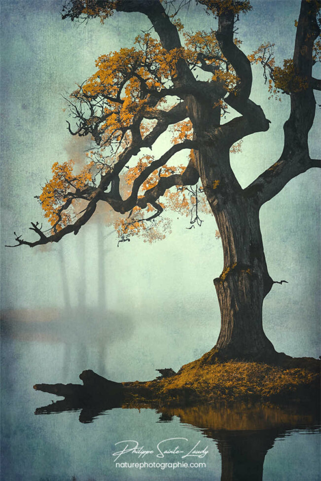 Photo d'automne réalisée avec l'aide de l'IA intelligence artificielle générative de Photoshop