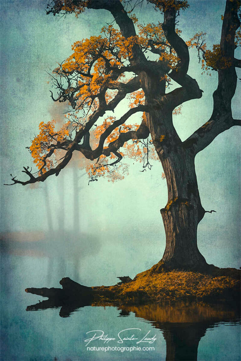 Photo d'automne réalisée avec l'aide de l'IA intelligence artificielle générative de Photoshop