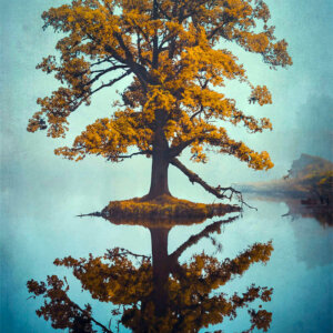 IA Collection – Autumn Trees #9 Photo d'automne réalisée avec l'aide de l'IA intelligence artificielle générative de Photoshop