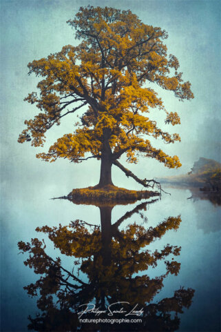 Photo d'automne réalisée avec l'aide de l'IA intelligence artificielle générative de Photoshop