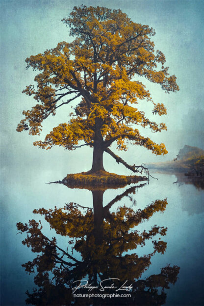 Photo d'automne réalisée avec l'aide de l'IA intelligence artificielle générative de Photoshop