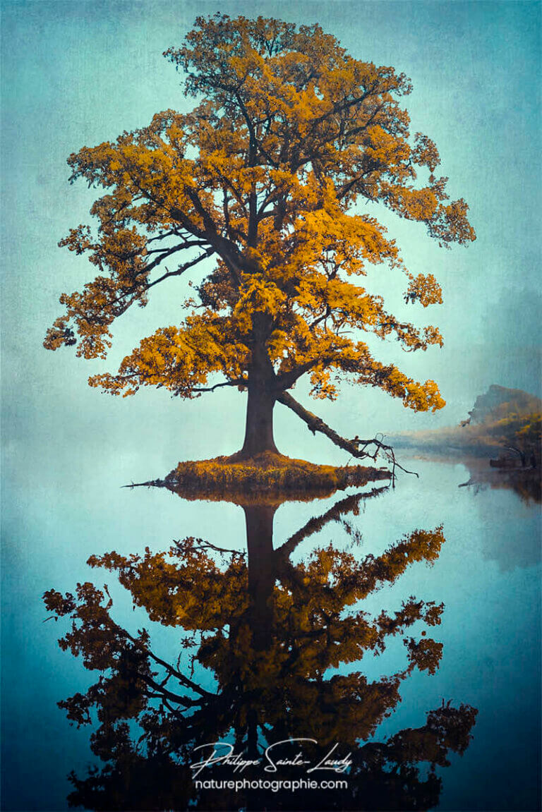 Photo d'automne réalisée avec l'aide de l'IA intelligence artificielle générative de Photoshop