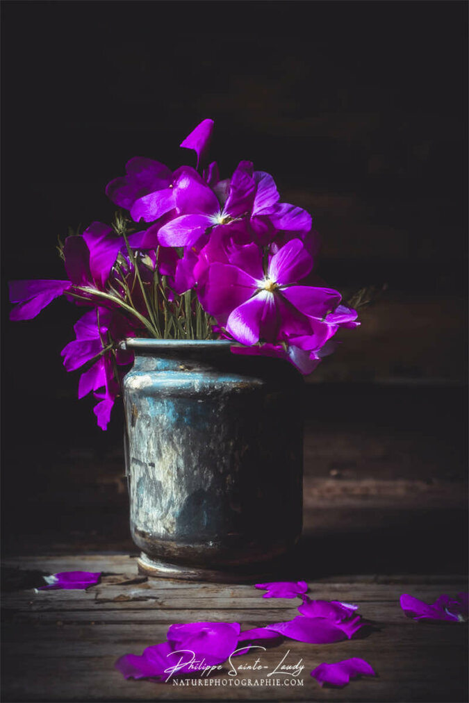 Photo d'automne réalisée avec l'aide de l'IA intelligence artificielle générative de Photoshop