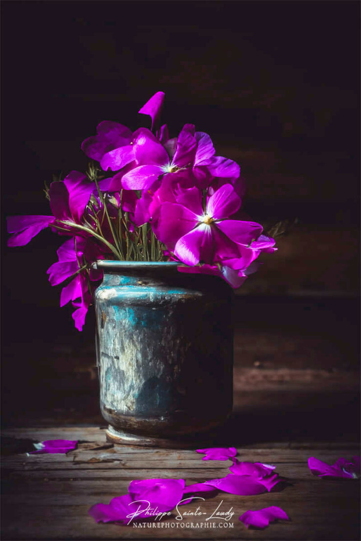 Photo d'automne réalisée avec l'aide de l'IA intelligence artificielle générative de Photoshop