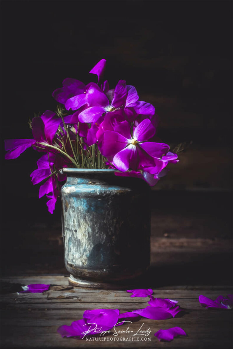 IA Collection – Floral composition #1 Photo d'automne réalisée avec l'aide de l'IA intelligence artificielle générative de Photoshop