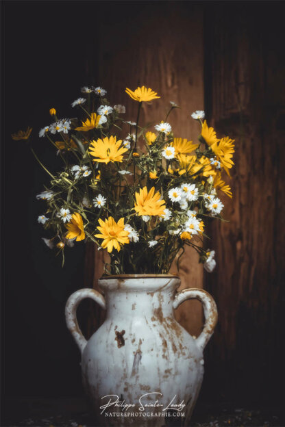 Composition florale réalisée avec l'aide de l'IA intelligence artificielle générative de Photoshop