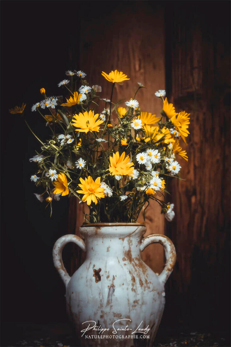 Composition florale réalisée avec l'aide de l'IA intelligence artificielle générative de Photoshop