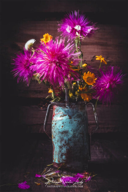 Composition florale réalisée avec l'aide de l'IA intelligence artificielle générative de Photoshop