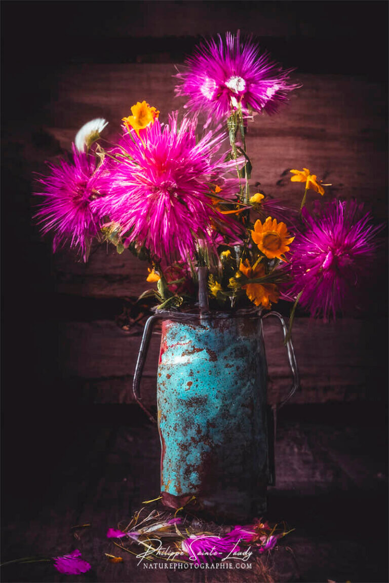 Composition florale réalisée avec l'aide de l'IA intelligence artificielle générative de Photoshop